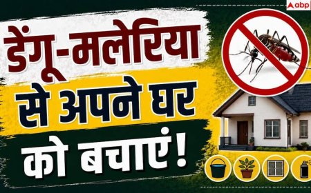 Mosquito Control Tips: बारिश में घर में बढ़ रहे हैं मच्छर-मक्खी, तुरंत अपनाएं ये उपाय