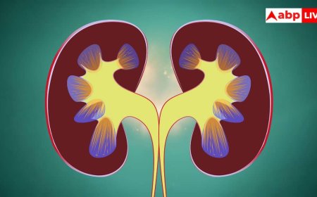  Kidney Health Tips:दिल नहीं किडनी का भी रखिए ख्याल, इन पांच आदतों को अपनाकर पाएं हेल्दी लाइफ