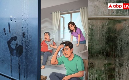 Monsoon Humidity Tips: हल्की सी बारिश हो गई है उमस? बगैर एसी ऐसे रखें अपने रूम को ठंडा