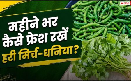 Store Green Chillies: हरी मिर्च-धनिया 1 महीने तक नहीं होंगे खराब, अपनाएं यह छोटी सी ट्रिक