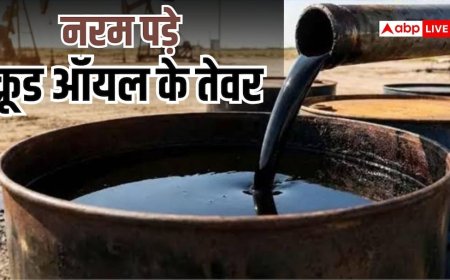अब सस्ता होकर रहेगा पेट्रोल-डीजल! 80 डॉलर से नीचे आया क्रूड ऑयल
