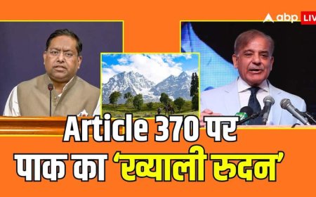 'पाकिस्तान कर रहा यौम-ए-इस्तेहसाल की नौटंकी',  भारत बोला- बंद करो प्रोपेगेंडा