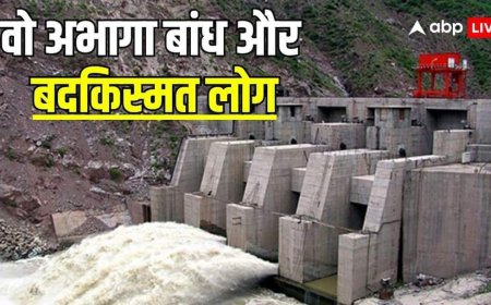 अरबों का 'नीलम-झेलम हाइड्रोपावर प्रोजेक्ट', कैसे PoJK के लिए बन गया 'दोहन मशीन'?