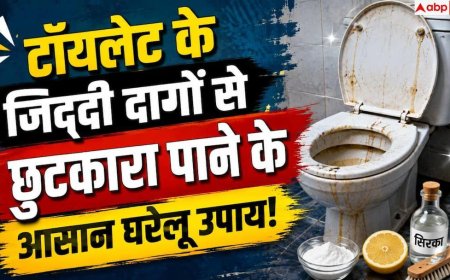 Toilet Yellow Stains: बार-बार रगड़ने पर भी नहीं छूट रहे टॉयलेट के दाग? जानें असली वजह
