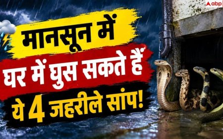Snakes In Monsoon: मानसून में घर के पास क्यों आते हैं जहरीले सांप? जानें बचाव के तरीके