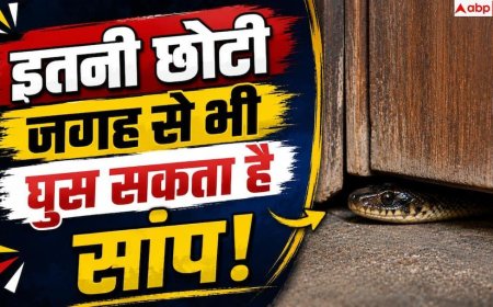Snake Prevention: इतनी संकरी जगह से भी घर में घुस सकता है सांप! तुरंत करें ये काम