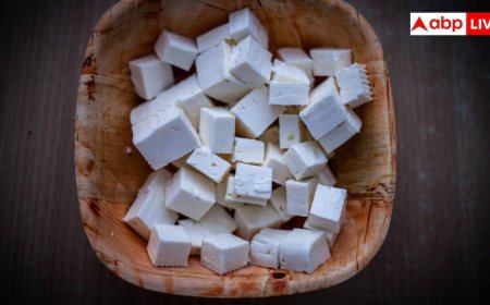 Maharashtra Analog Paneer Ban: एनालॉग पनीर से शरीर को कितना नुकसान, महाराष्ट्र में क्यों हुआ बैन?