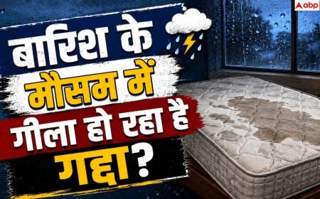 Monsoon Bed Dampness: गीला गद्दा और बदबूदार चादर? मानसून में नमी दूर करने के हैक्स
