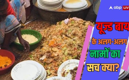 Xप्लेन: क्या 'बेस्ट बिफोर' या 'एक्सपायरी डेट' के बाद खाना फेंक देना चाहिए? जानें हर तारीख के मायने
