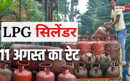 14 किलो और 19 किलो का गैस सिलेंडर कितने में मिलेगा? जानें आज क्या है एलपीजी का दाम