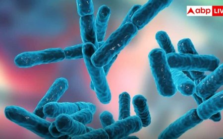 Gut Bacteria species:  भारतीय जनजातियों में मिले 14 नए बैक्टीरिया, क्यों खास है खोज