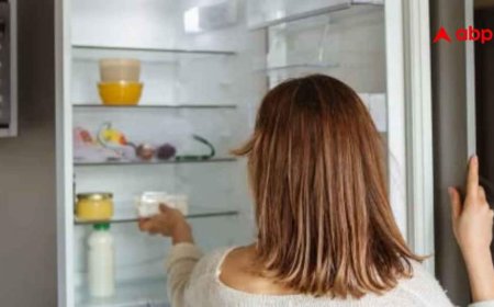 Best Refrigerators For Small Family : 2 लोगों की फैमिली के 10 हजार के अंदर आने वाले फ्रिज