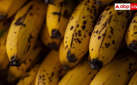 Overripe Banana Recipes: केले ज्यादा पक गए? फेंकने के बजाय बनाएं ये रेसिपी