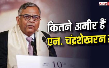 दिन के 43 लाख कमाते हैं एन. चंद्रशेखरन, जानिए टाटा सन्स के चेयरमैन की नेट वर्थ