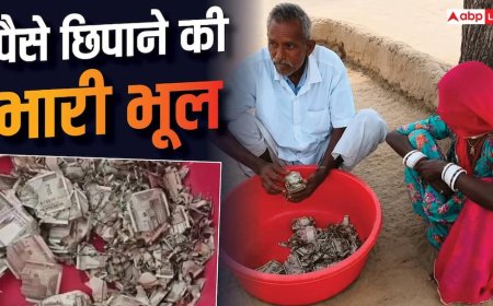 घरवालों से छिपाकर रखी मेहनत कमाई, सालभर में खा गए कीड़े; किसान को 5 लाख का नुकसान