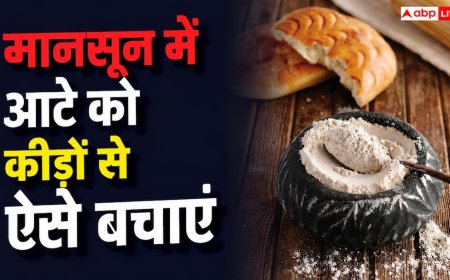 Wheat Flour Storage Tips in Monsoon:  मानसून में आटे में लग जाते हैं कीड़े, ऐसे करें स्टोर