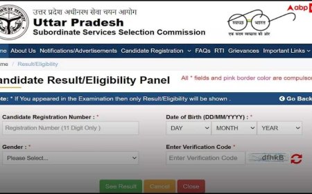 UPSSSC Result 2026: सहायक लेखाकार-लेखा परीक्षक का रिजल्ट घोषित, 1828 पदों पर 1643 कैंडिडेट्स सेलेक्ट