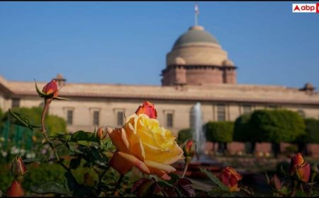 Amrit Udyan Opening: आम लोगों के लिए खुल रहा अमृत उद्यान, जानें टाइमिंग से लेकर टिकट तक की डिटेल्स