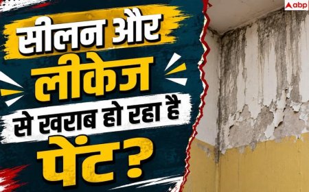 Paint Bubbling On Walls: दीवार का पेंट फूलकर बन रहे हैं बुलबुले? तुरंत अपनाएं ये आसान उपाय