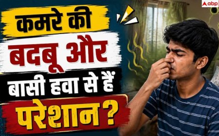 Room Freshness Tips: कमरे को दिनभर फ्रेश और सुगंधित कैसे रखें? जानें आसान घरेलू उपाय