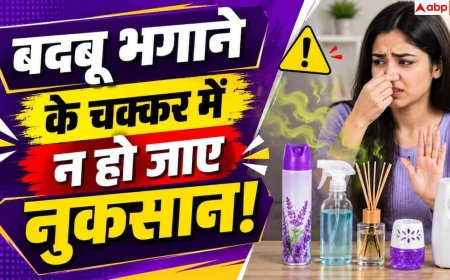 Room Freshener कितने सेफ, कहीं सेहत से खिलवाड़ तो नहीं कर रहे?