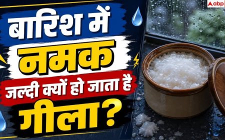 Why Salt Gets Wet In Monsoon: बरसात में नमक गीला हो जाता है, चीनी क्यों नहीं?