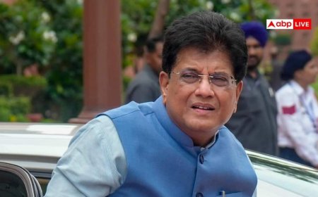 पीयूष गोयल: टीम BJP में इकलौते मंत्री को जिम्मेदारी, क्या हैं संकेत?