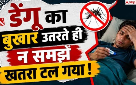 Dengue Fever: डेंगू का बुखार उतर गया तो न हों खुश! अगले 24-48 घंटे हैं अहम