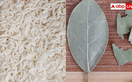 Keep Rice Away From Moisture:  चावल में नहीं पड़ेंगे कीड़े, बस डिब्बे में डाल दें ये एक चीज