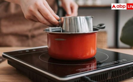 Induction Working Mechanism: Induction पर सिर्फ बर्तन गर्म होता है, चूल्हा क्यों नहीं? जानें टेक्नोलॉजी