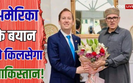 Xप्लेन: 'कश्मीर भारत का हिस्सा', US एम्बेसडर सर्जियो के बयान से इंडिया के लिए क्या मायने?