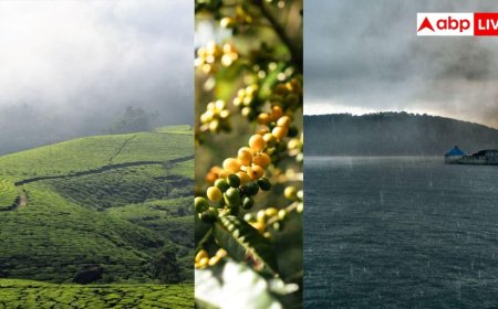 Monsoon Trip In India: मानसून में जन्नत बन जाते हैं भारत के ये पांच शहर, आज करें ट्रिप प्लान