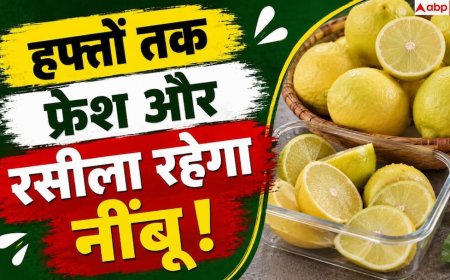 Lemon Storage Tips: नींबू फ्रिज में रखने के बाद भी सूख जाता है? ऐसे रखें लंबे समय तक फ्रेश