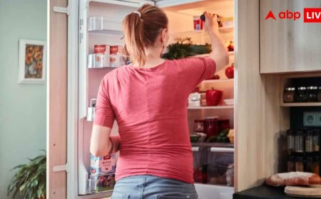 Fridge Buying Tips: 4 लोगों की फैमिली के लिए लेना है फ्रिज, जानें बजट और सही कैपेसिटी