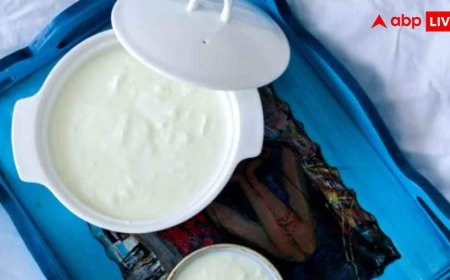 घर का दही रातभर में खट्टा क्यों? जानें जमाने का सही तरीका