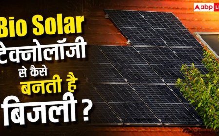 क्या है Bio Solar टेक्नोलॉजी? जानें कैसे इससे बढ़ जाती है सोलर पैनल की ताकत