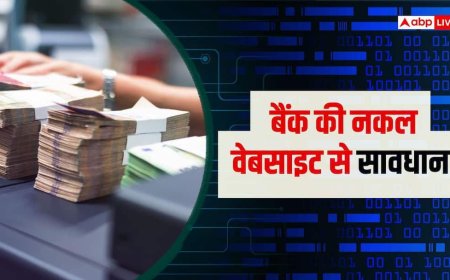 सावधान! साइबर ठगों ने बना डाली SBI-Axis बैंक की नकली वेबसाइट, अब कैसे रहेंगे सुरक्षित?