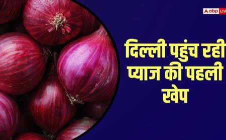 दिल्ली पहुंच रही 800 टन प्याज, 24 घंटे के भीतर 35 रुपए किलो मिलेगा 'कांदा'