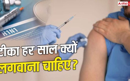 Xप्लेन: स्वाइन फ्लू का टीका कब लगवाएं? डॉक्टर्स ने बता दिए 10 जरूरी जवाब