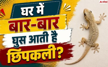 Home Remedies For Lizards: घर में बार-बार आती है छिपकली? बिना मारे भगाने के आसान हैक्स