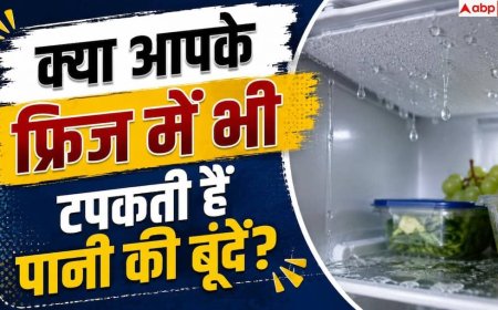 Fridge Maintenance: फ्रिज में पानी जमा होने से हैं परेशान? ऐसे करें मिनटों में ठीक