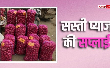 सस्ती प्याज 203 आउटलेट्स, 90 मोबाइल वैन से हर घर पहुंचेगी, कीमत सिर्फ 35 रुपए किलो
