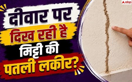 Termite Signs: सीलन है या दीमक का आतंक? दीवार से झड़ती मिट्टी से ऐसे पहचानें