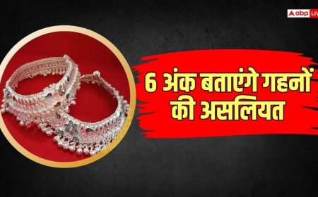 चांदी खरीदने का है प्लान, तो जान लीजिए असली और नकली में अंतर