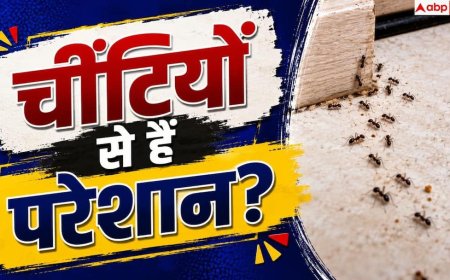 Pest Control: घर में बार-बार आ जाती हैं चींटियां? ऐसे करें सफाया