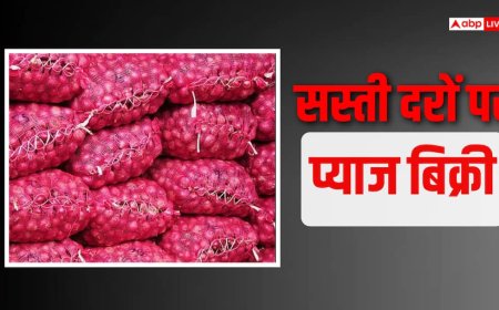 दिल्ली पहुंची 453 टन प्याज, 35 रुपए में खरीद लो, NCR की मंडियों में बढ़ेगी आवक