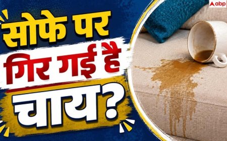Sofa Cleaning Tips: सोफे पर चाय गिर जाए तो तुरंत क्या करें, पाउडर या पानी...क्या आएगा काम?