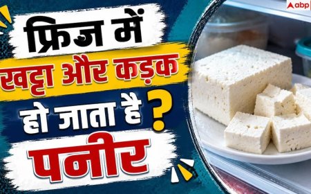 How To Store Paneer: पनीर फ्रिज में रखने से पहले करें ये 1 काम, हफ्तों रहेगा ताजा