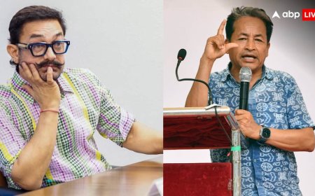 ‘वो गजनी लुक में थे, शायद...’, आमिर खान के बयान पर सोनम वांगचुक का पलटवार