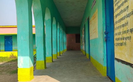 2014 से लेकर अब तक, उत्तर भारत में कितने स्कूल हुए बंद?